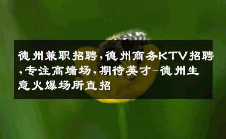 德州兼职招聘,德州商务KTV招聘,专注高端场,期待英才-德州生意火爆场所直招
