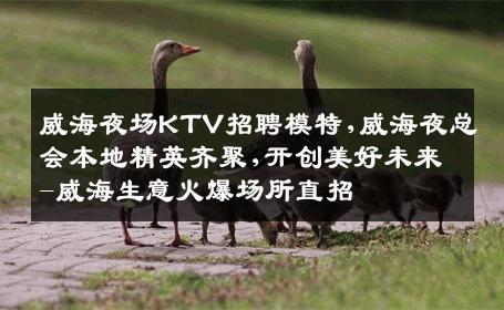 威海夜场KTV招聘模特,威海夜总会本地精英齐聚,开创美好未来-威海生意火爆场所直招