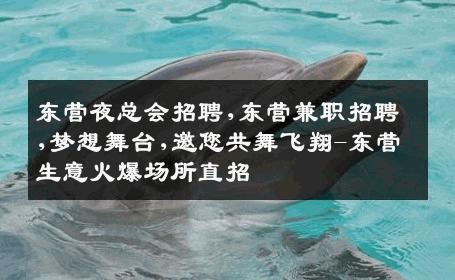 东营夜总会招聘,东营兼职招聘,梦想舞台,邀您共舞飞翔-东营生意火爆场所直招