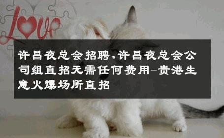 许昌夜总会招聘,许昌夜总会公司组直招无需任何费用-贵港生意火爆场所直招