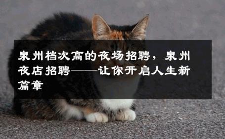 泉州档次高的夜场招聘，泉州夜店招聘——让你开启人生新篇章