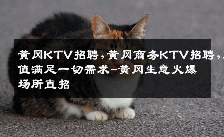 黄冈KTV招聘,黄冈商务KTV招聘,颜值满足一切需求-黄冈生意火爆场所直招