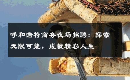 呼和浩特商务夜场招聘：探索无限可能，成就精彩人生
