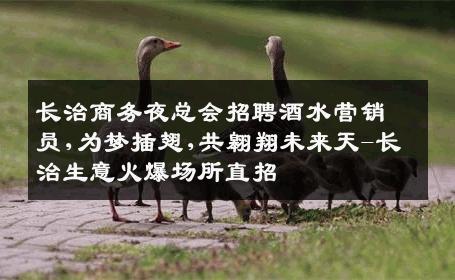 长治商务夜总会招聘酒水营销员,为梦插翅,共翱翔未来天-长治生意火爆场所直招
