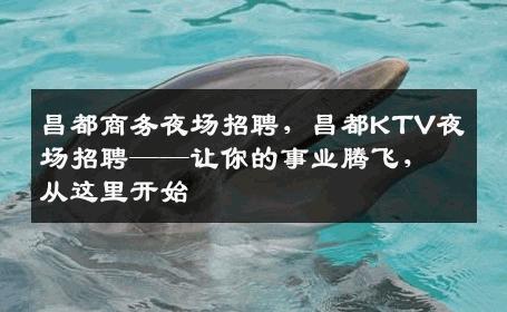 昌都商务夜场招聘，昌都KTV夜场招聘——让你的事业腾飞，从这里开始