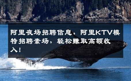 阿里夜场招聘信息，阿里KTV模特招聘素场，轻松赚取高额收入！