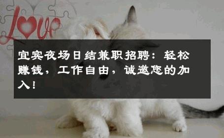 宜宾夜场日结兼职招聘：轻松赚钱，工作自由，诚邀您的加入！