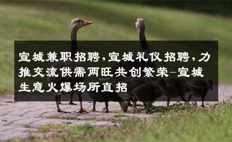 宣城兼职招聘,宣城礼仪招聘,力推交流供需两旺共创繁荣-宣城生意火爆场所直招