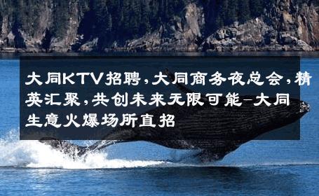 大同KTV招聘,大同商务夜总会,精英汇聚,共创未来无限可能-大同生意火爆场所直招