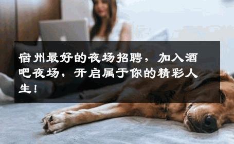 宿州最好的夜场招聘，加入酒吧夜场，开启属于你的精彩人生！