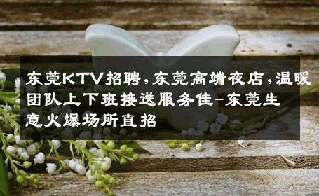 东莞KTV招聘,东莞高端夜店,温暖团队上下班接送服务佳-东莞生意火爆场所直招