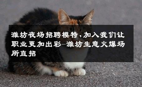 潍坊夜场招聘模特,加入我们让职业更加出彩-潍坊生意火爆场所直招