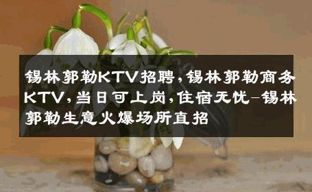 锡林郭勒KTV招聘,锡林郭勒商务KTV,当日可上岗,住宿无忧-锡林郭勒生意火爆场所直招