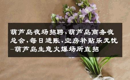 葫芦岛夜场招聘,葫芦岛商务夜总会,每日进账,空房补贴乐无忧-葫芦岛生意火爆场所直招