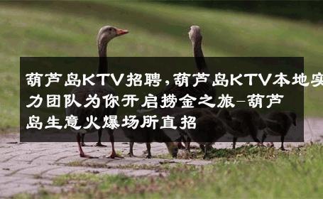 葫芦岛KTV招聘,葫芦岛KTV本地实力团队为你开启捞金之旅-葫芦岛生意火爆场所直招
