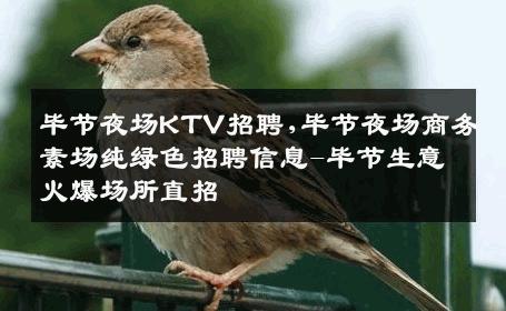 毕节夜场KTV招聘,毕节夜场商务素场纯绿色招聘信息-毕节生意火爆场所直招