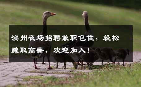 滨州夜场招聘兼职包住，轻松赚取高薪，欢迎加入！
