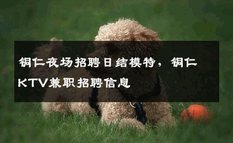 铜仁夜场招聘日结模特，铜仁KTV兼职招聘信息