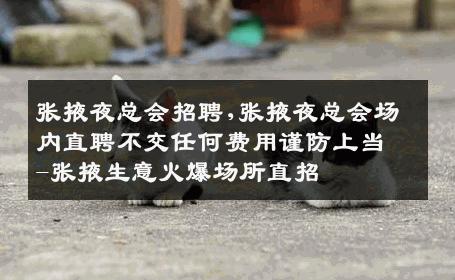张掖夜总会招聘,张掖夜总会场内直聘不交任何费用谨防上当-张掖生意火爆场所直招