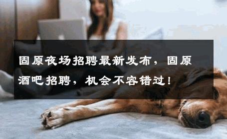 固原夜场招聘最新发布，固原酒吧招聘，机会不容错过！