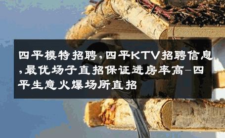 四平模特招聘,四平KTV招聘信息,最优场子直招保证进房率高-四平生意火爆场所直招