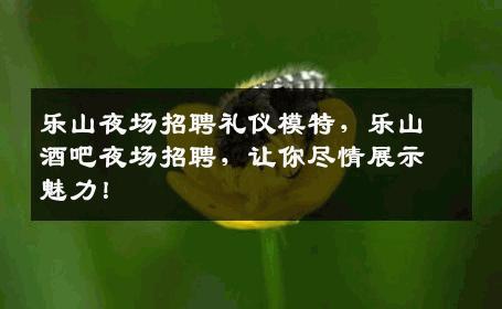乐山夜场招聘礼仪模特，乐山酒吧夜场招聘，让你尽情展示魅力！