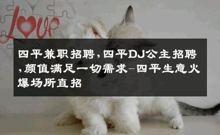 四平兼职招聘,四平DJ公主招聘,颜值满足一切需求-四平生意火爆场所直招