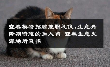 宜春模特招聘兼职礼仪,生意兴隆期待您的加入哟-宜春生意火爆场所直招