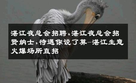 湛江夜总会招聘,湛江夜总会招贤纳士,待遇你说了算-湛江生意火爆场所直招