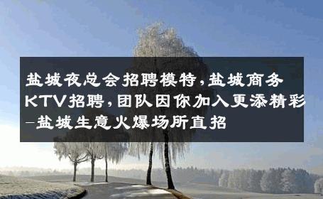 盐城夜总会招聘模特,盐城商务KTV招聘,团队因你加入更添精彩-盐城生意火爆场所直招