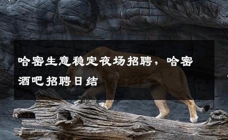 哈密生意稳定夜场招聘，哈密酒吧招聘日结