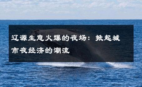 辽源生意火爆的夜场：掀起城市夜经济的潮流