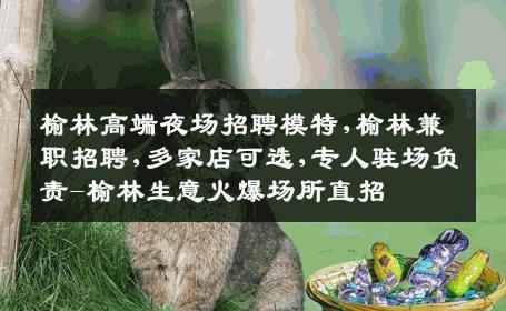 榆林高端夜场招聘模特,榆林兼职招聘,多家店可选,专人驻场负责-榆林生意火爆场所直招