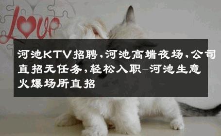 河池KTV招聘,河池高端夜场,公司直招无任务,轻松入职-河池生意火爆场所直招