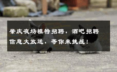 肇庆夜场模特招聘，酒吧招聘信息大放送，等你来挑战！