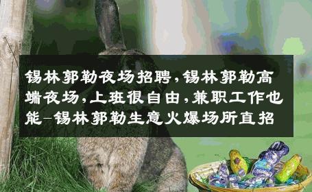 锡林郭勒夜场招聘,锡林郭勒高端夜场,上班很自由,兼职工作也能-锡林郭勒生意火爆场所直招
