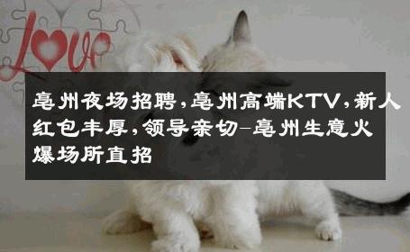 亳州夜场招聘,亳州高端KTV,新人红包丰厚,领导亲切-亳州生意火爆场所直招