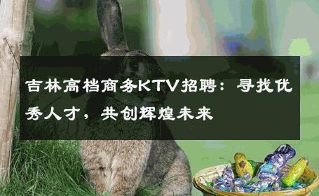 吉林高档商务KTV招聘：寻找优秀人才，共创辉煌未来