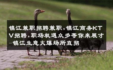 镇江兼职招聘兼职,镇江商务KTV招聘,职场机遇众多等你来展才-镇江生意火爆场所直招