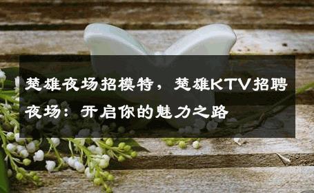楚雄夜场招模特，楚雄KTV招聘夜场：开启你的魅力之路