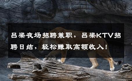 吕梁夜场招聘兼职，吕梁KTV招聘日结，轻松赚取高额收入！