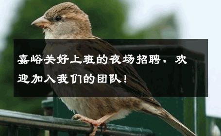 嘉峪关好上班的夜场招聘，欢迎加入我们的团队！