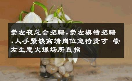 崇左夜总会招聘,崇左模特招聘,人手紧缺高端岗位急待贤才-崇左生意火爆场所直招