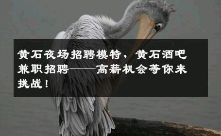 黄石夜场招聘模特，黄石酒吧兼职招聘——高薪机会等你来挑战！