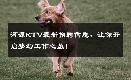 河源KTV最新招聘信息，让你开启梦幻工作之旅！