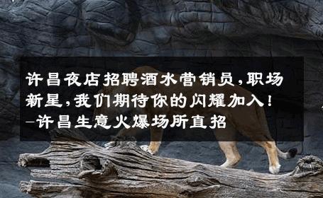 许昌夜店招聘酒水营销员,职场新星,我们期待你的闪耀加入！-许昌生意火爆场所直招