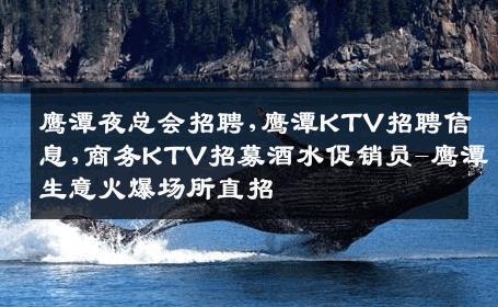 鹰潭夜总会招聘,鹰潭KTV招聘信息,商务KTV招募酒水促销员-鹰潭生意火爆场所直招