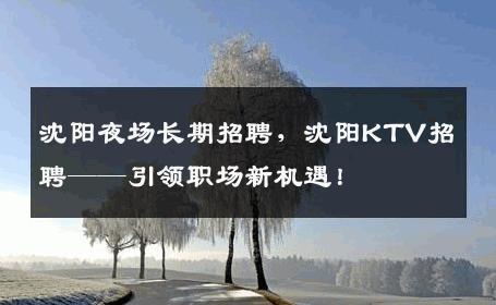 沈阳夜场长期招聘，沈阳KTV招聘——引领职场新机遇！