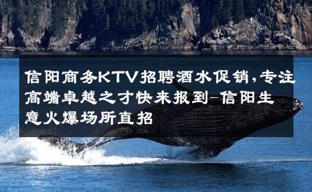 信阳商务KTV招聘酒水促销,专注高端卓越之才快来报到-信阳生意火爆场所直招