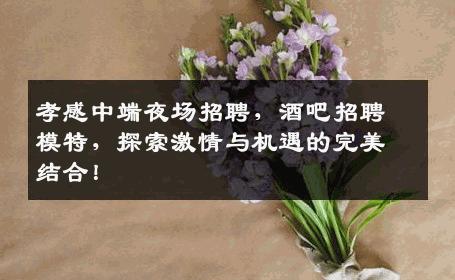 孝感中端夜场招聘，酒吧招聘模特，探索激情与机遇的完美结合！